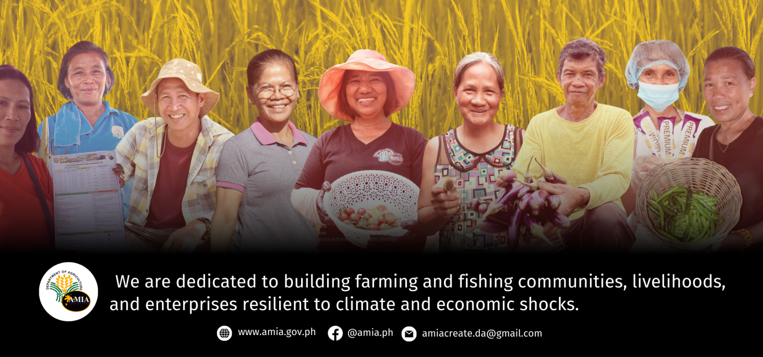 Adaptation and Mitigation Initiative in Agriculture (AMIA) Program |  Building farming and fishing communities, livelihoods, and enterprises  resilient to climate and economic shocks.