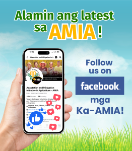 Follow AMIA on FB!